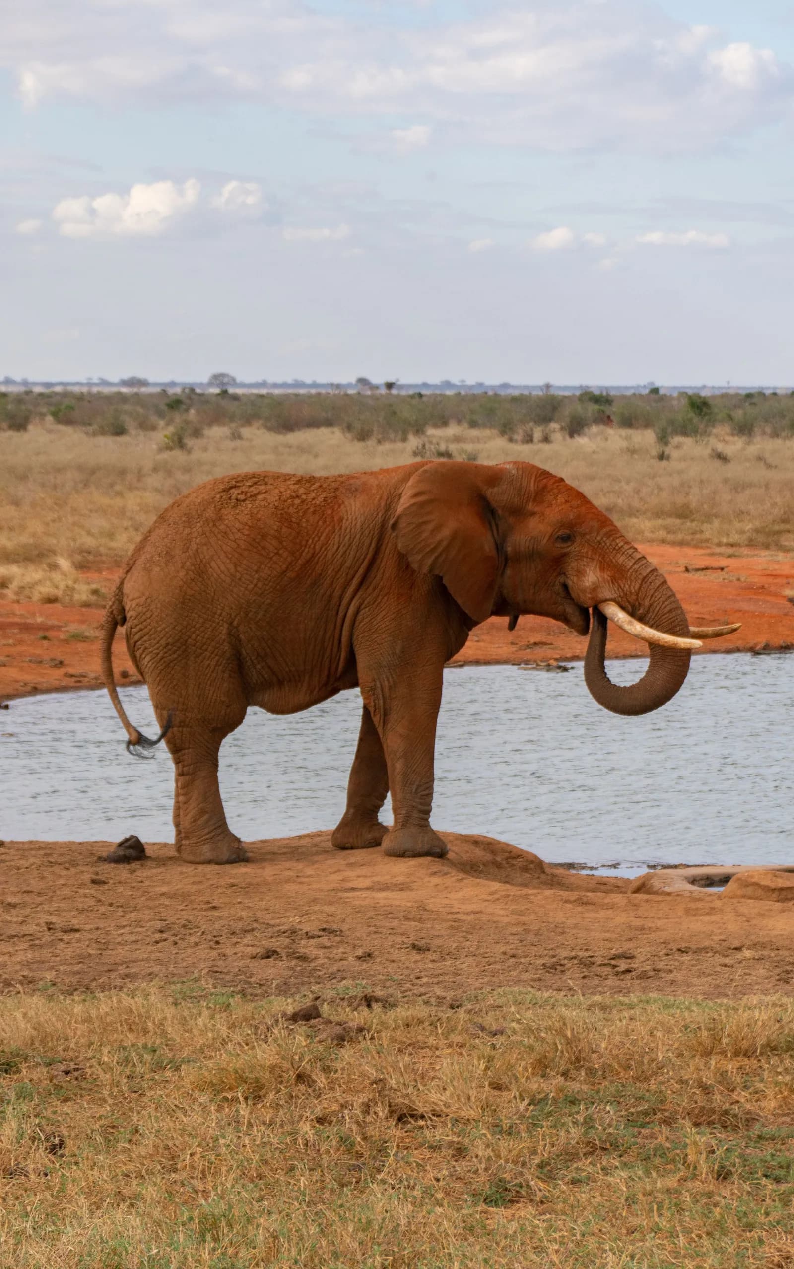 Vacation homes in IL Bisil, Kenya