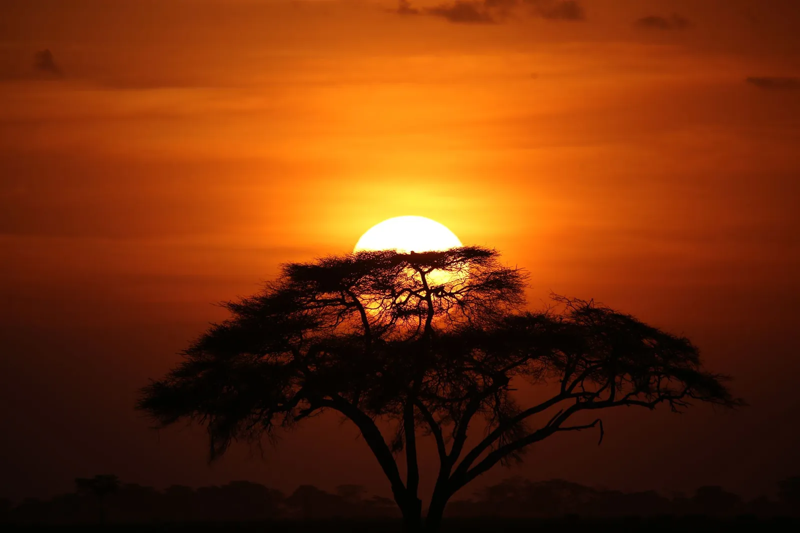 Vacation homes in Kajiado, Kenya