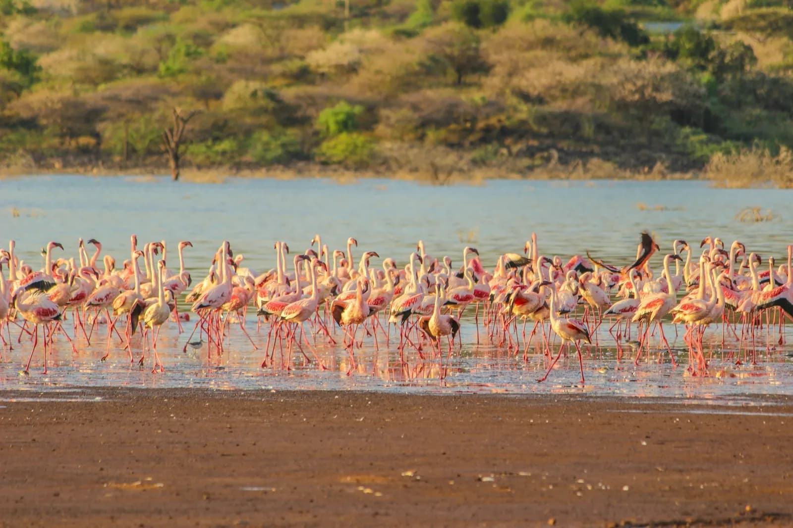 Vacation homes in Nakuru, Kenya