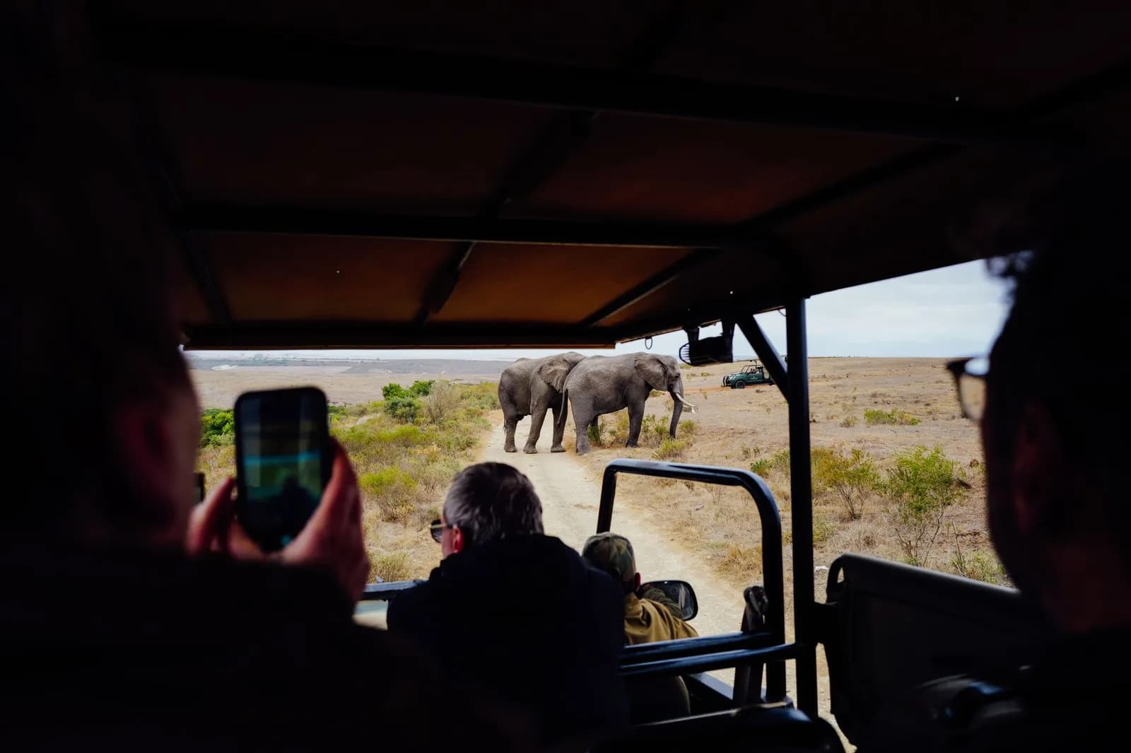 Safari Experiences experience in Kenya