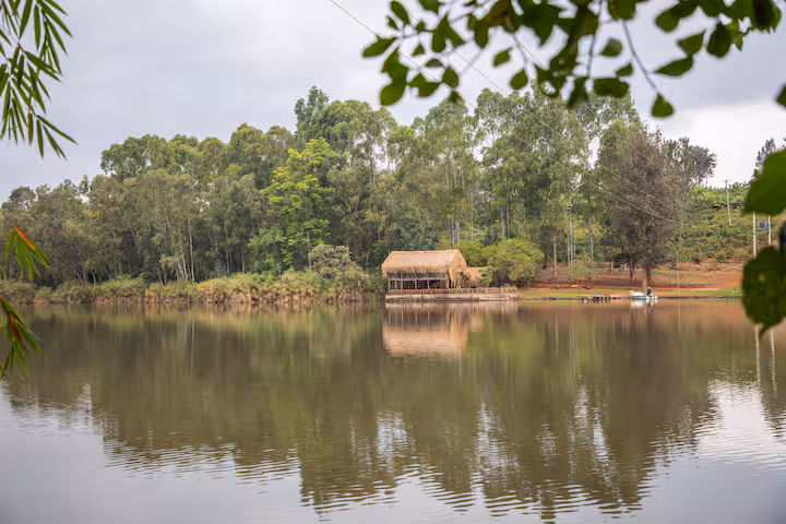Tree House – A Retreat Above the Rest in Kenya