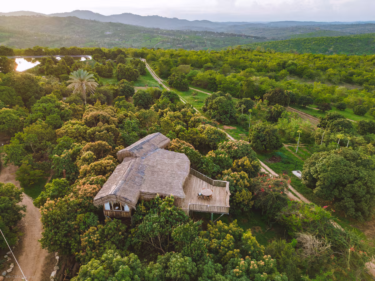 Makuyu Tree House, Muranga – Tree House by Perfect Strangers Safaris Homes
