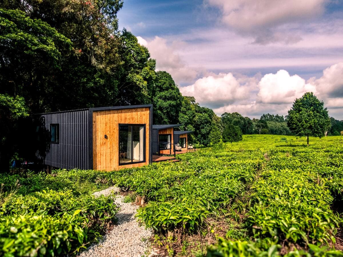 The Steeper's Cabin Tigoni, Tigoni – Farm Stays by Perfect Strangers Safaris Homes